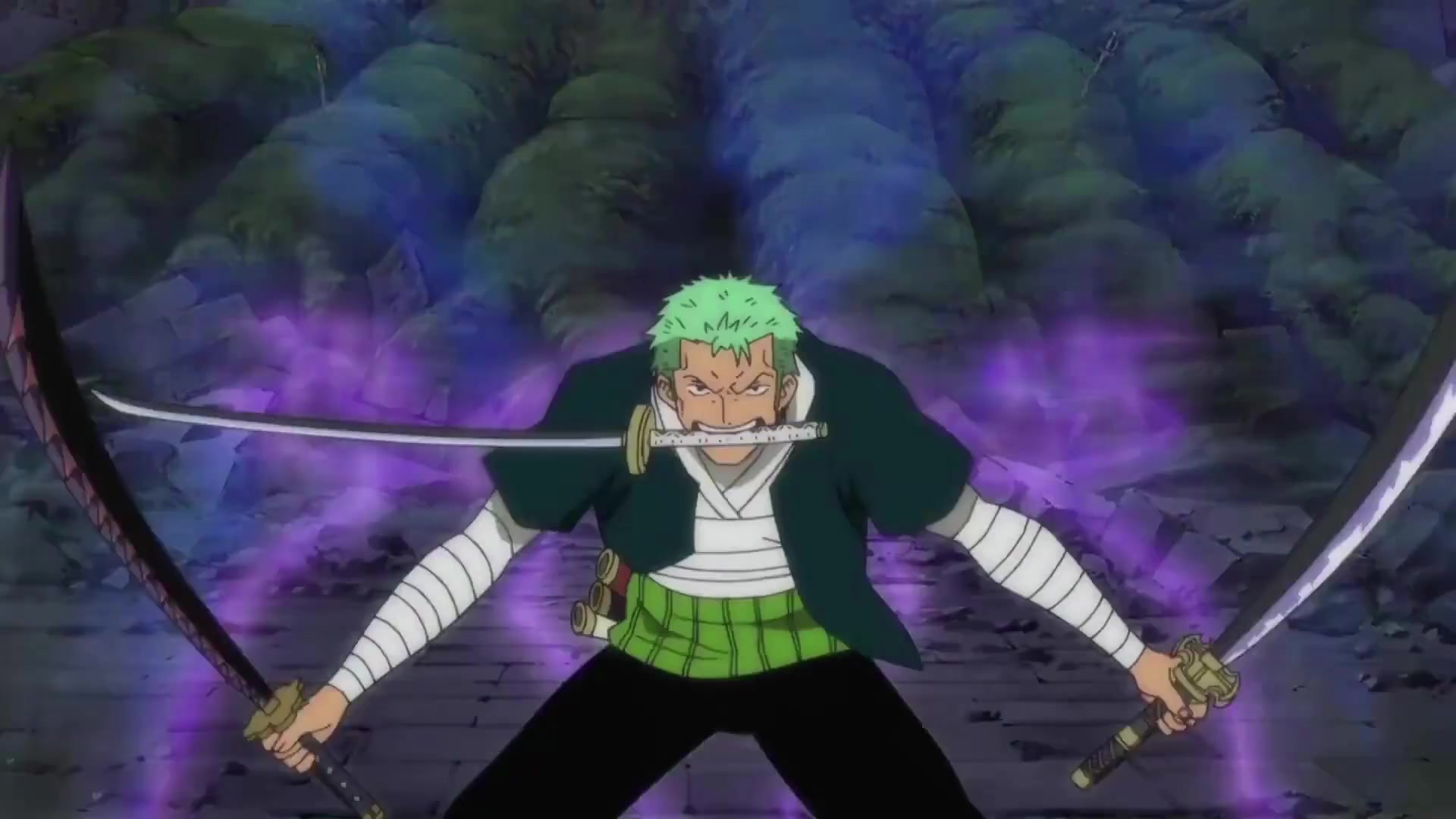 Zoro_4.mp4
